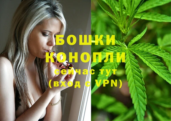 гашик Майский