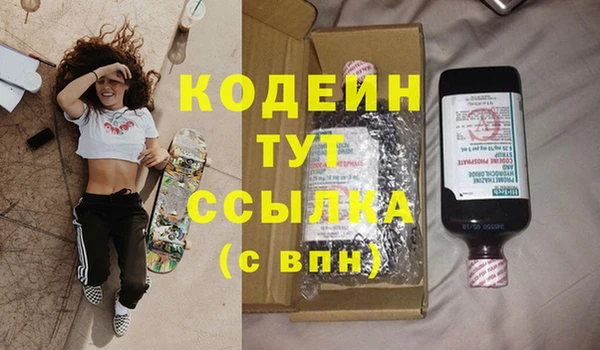 гашик Майский