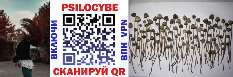Галлюциногенные грибы GOLDEN TEACHER  как найти закладки  Сольцы 